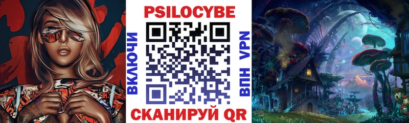 кракен   купить  цена  Евпатория  Псилоцибиновые грибы Psilocybe 